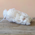 Premium White Seashell Organza Gift Bag